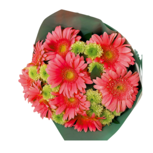 RAMOS GERBERAS