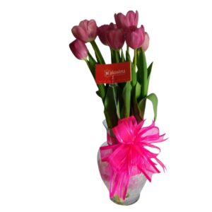 Encanto Tulip